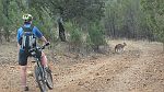 22-Heidi gives way to a friendly kangaroo in Sundown NP